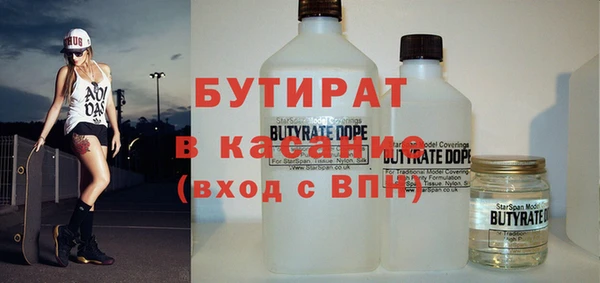 индика Алексин