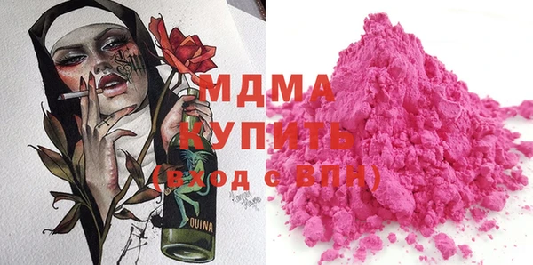 индика Алексин