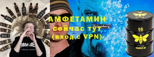 индика Алексин