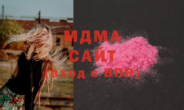 индика Алексин