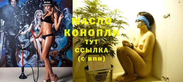 индика Алексин