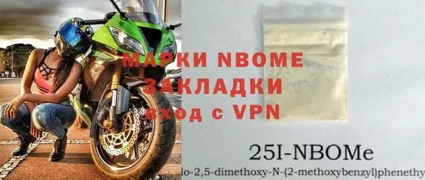 индика Алексин