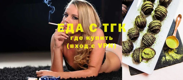 индика Алексин