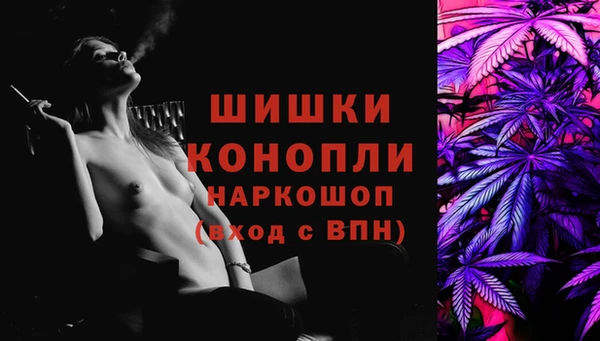амф Арсеньев