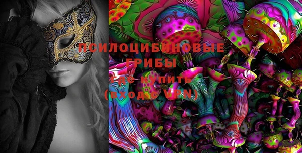 амф Алексеевка