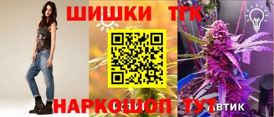 ешки Камышлов