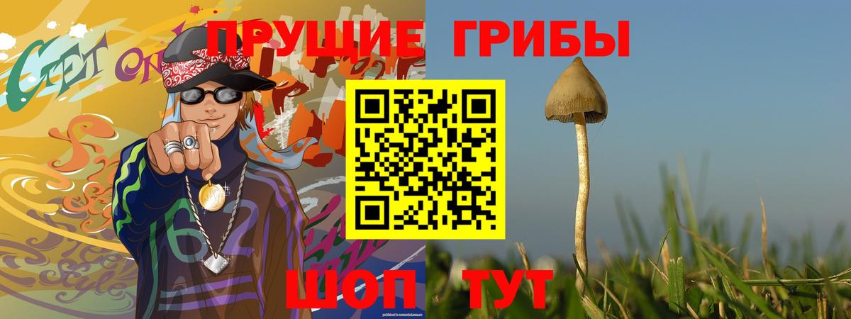 Куйбышев  Галлюциногенные грибы ЛСД  Вход с VPN 