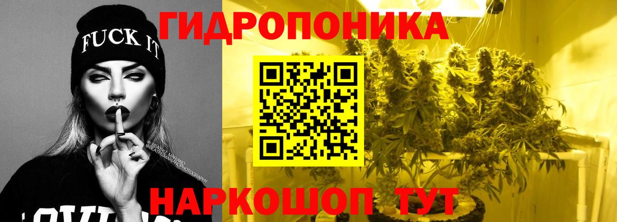 Каннабис индика Куйбышев